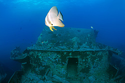 ���������� ����� 'SS Thistlegorm' . ������� ���� , ������