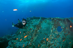 ���������� ����� 'SS Thistlegorm' . ������� ���� , ������