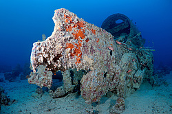 �������, ���������� ����� 'SS Thistlegorm' ������� ���� , ������