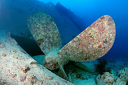 ���������� ����� 'SS Thistlegorm' . ������� ���� , ������