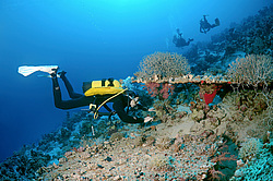  ���������� ���. ������� ����, ������, ������