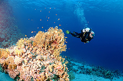  ���������� ���. ������� ����, ������, ������