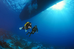 ������, ������� ����/������������������ �������� �����, ������� ����, ������ , ������