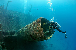 ���������� ����� 