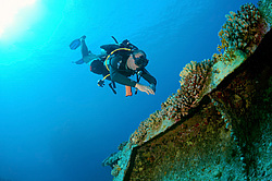 ���������� ����� 