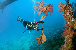 ���������� ����� 