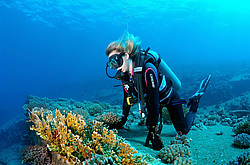 ���������� ����� 