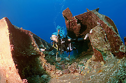 ���������� ����� 