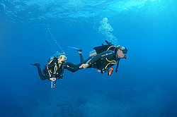 ������, ������� ����/��������� . ������� ���� , ������, ������