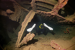 ���������� ����� 