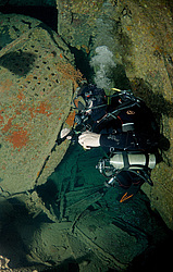 ���������� ����� 