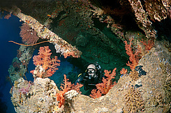 ���������� ����� 