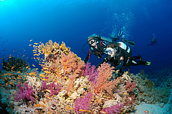 ���������� ���. ������� ����, ������, 