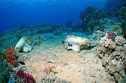 ������ ������� �� ������� ���������������. ��� �������� ������������ ����, ��������� ����������, ����-���- ����, ������� ����, ������, ������