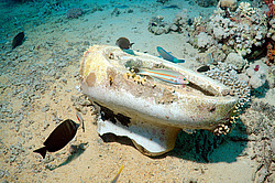 ������ ������� �� ������� ���������������. ��� �������� ������������ ����, ��������� ����������, ����-���- ����, ������� ����, ������, ������