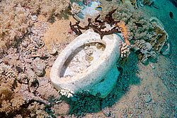 ������ ������� �� ������� ���������������. ��� �������� ������������ ����, ��������� ����������, ����-���- ����, ������� ����, ������, ������