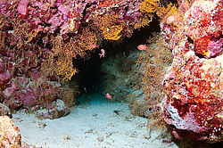 ������, ������� ����/��������� . ��� �������� ������������ ���� , ��������� ���������� , ����-���- ����, ������� ���� , ������, ������