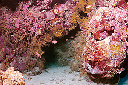 ������, ������� ����/��������� . ��� �������� ������������ ���� , ��������� ���������� , ����-���- ����, ������� ���� , ������, ������