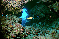 ������, ������� ����/��������� . ��� �������� ������������ ���� , ��������� ���������� , ����-���- ����, ������� ���� , ������, ������