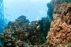  ���������� ���. ������� ����, ������, ������