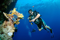  ������. ������� ���� , ������, ������