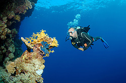  ���������� ���. ������� ����, ������, ������