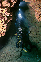 ������, ������� ����/��������� � ������. ��� �������� ������������ ���� , ��������� ���������� , ����-���- ����, ������� ���� , ������, ������