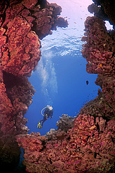 ������, ������� ����/��������� � ������. ��� �������� ������������ ���� , ��������� ���������� , ����-���- ����, ������� ���� , ������, ������