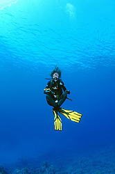  ������. ������� ���� , ������, ������