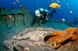 ���������� ����� 