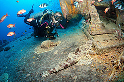 ���������� ����� 