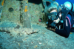 ���������� ����� 