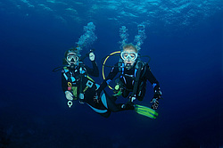  ������. ������� ���� , ������, ������