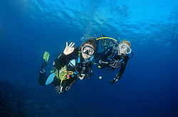  ������. ������� ���� , ������, ������