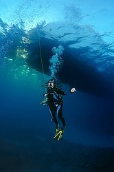  ������. ������� ���� , ������, ������