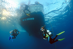  ������. ������� ���� , ������, ������