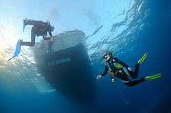  ������. ������� ���� , ������, ������