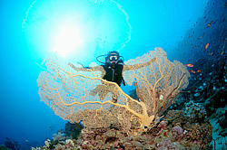  ���������� ���. ������� ����, ������, ������