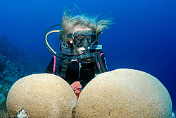  ���������� ���. ������� ����, ������, ������