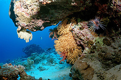  ���������� ���. ������� ����, ������, ������