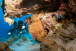  ���������� ���. ������� ����, ������, ������