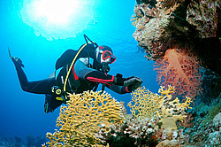  ���������� ���. ������� ����, ������, ������