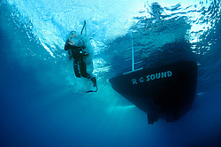  ������. ������� ���� , ������, ������