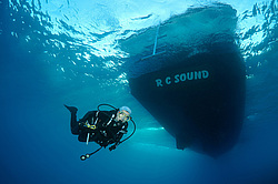  ������. ������� ���� , ������, ������