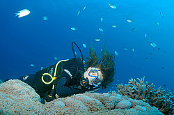 ������, ������� ����/��������� ����� �� ���������� ����� . ������� ���� , ������, ������