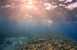 ������, ������� ����/������������ �������� � ������� ���� , ������, ������