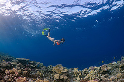 ������, ������� ����/������������ �������� � ������� ���� , ������, ������