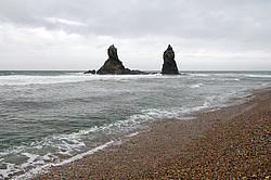 ������� ������ ������