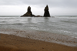 ������� ������ ������