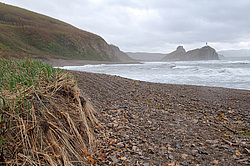 ������� ������ ������